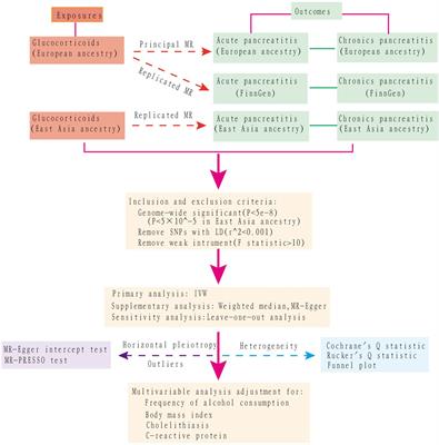 The causality between use of glucocorticoids and risk of pancreatitis: a Mendelian randomization study